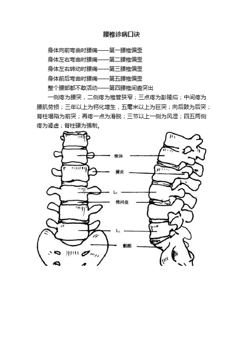 腰椎诊病口诀