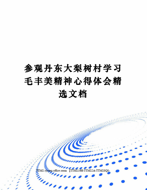 参观丹东大梨树村学习毛丰美精神心得体会精选文档