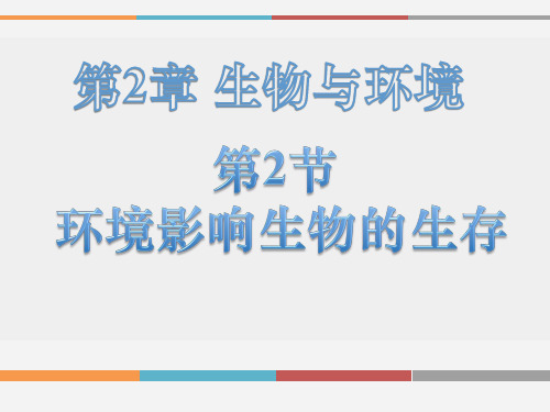 苏科版七年级生物上册2.2.2环境影响生物的生存  (21张PPT)