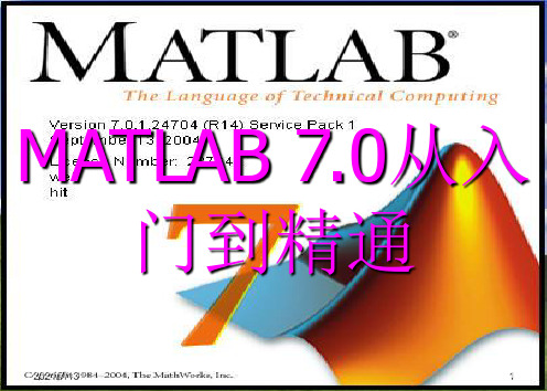 matlab7教程课件第2章数值运算