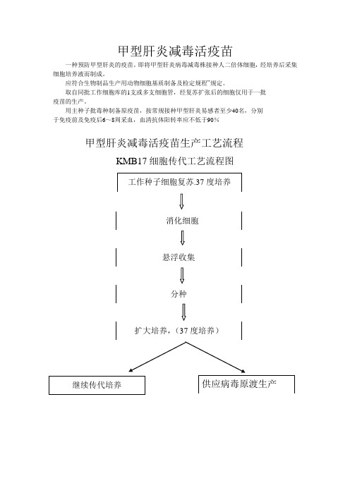 甲型肝炎减毒活疫苗生产工艺流程