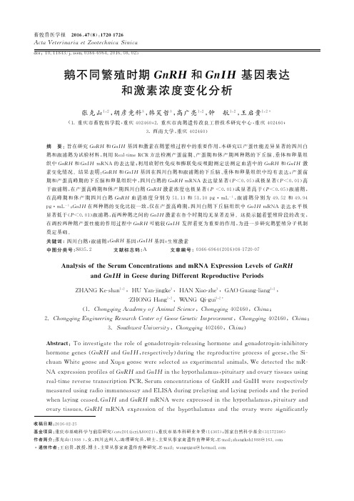 鹅不同繁殖时期GnRH和GnIH基因表达和激素浓度变化分析
