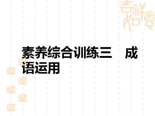 中考语文复习练测课件 素养综合训练三 成语运用