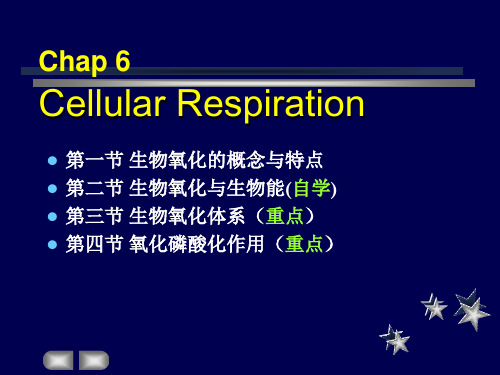 生物氧化的概念与特点.ppt