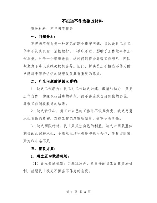 不担当不作为整改材料