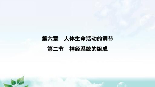 人教版七年级生物下册第六章第二节神经系统的组成课件