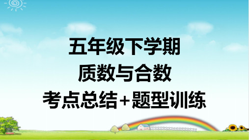 质数与合数 考点总结+题型训练 带答案