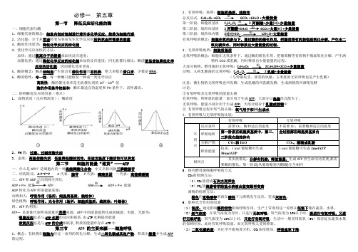 高中生物必修一  第五章