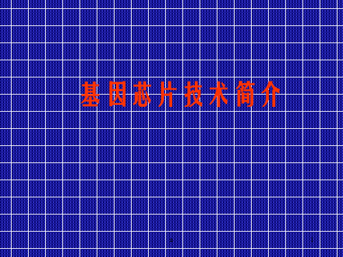 基因芯片技术简介