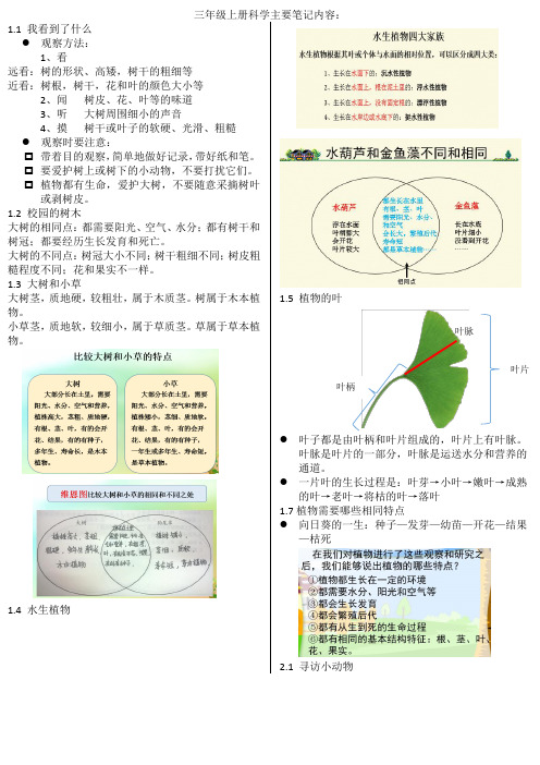 三年级上学期科学主要笔记