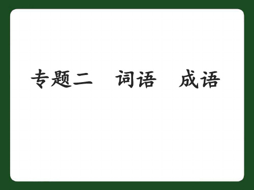 中考语文专题复习二词语成语 ppt课件