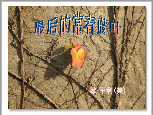 最后的常春藤叶课件