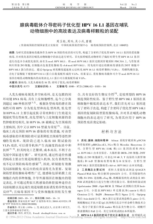 腺病毒载体介导密码子优化型HPV_省略_胞中的高效表达及病毒样颗粒的装配_周玉柏