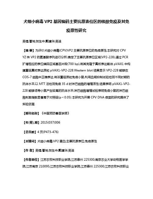 犬细小病毒VP2基因编码主要抗原表位区的核酸免疫及其免疫原性研究