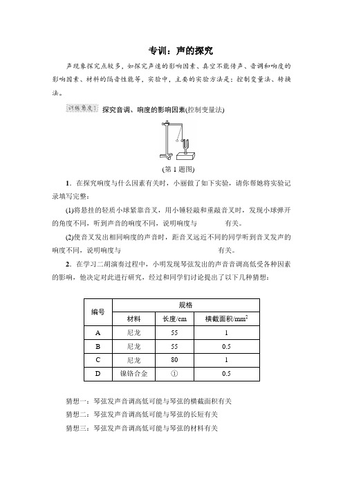 沪科版八年级物理上册 专训：声的探究【新版】