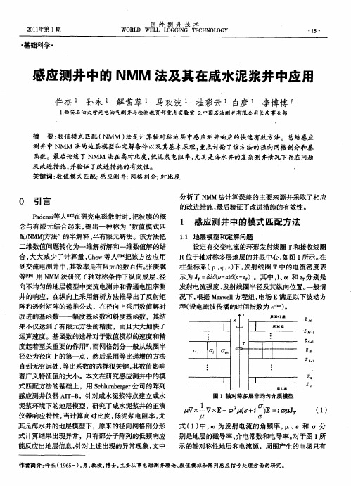 感应测井中的NMM法及其在咸水泥浆井中应用