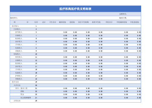 医疗机构财务收支资产明细表模板