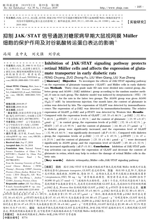 抑制JAKSTAT信号通路对糖尿病早期大鼠视网膜Müller细胞的保护作用及对谷氨酸转运蛋白表达的影