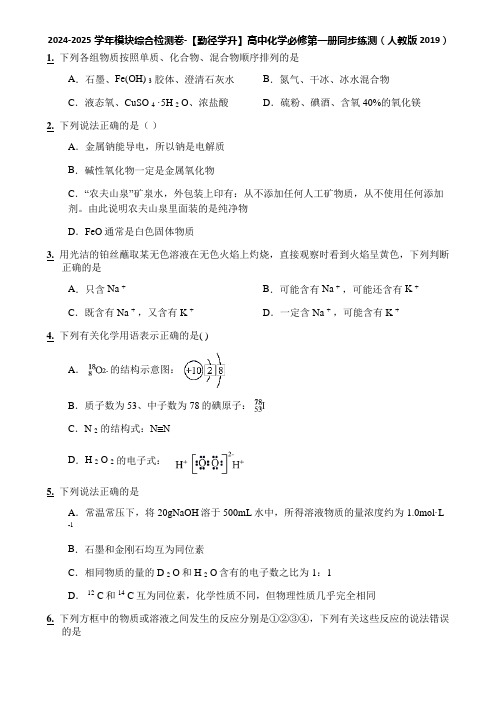 2024-2025学年模块综合检测卷-【勤径学升】高中化学必修第一册同步练测(人教版2019)