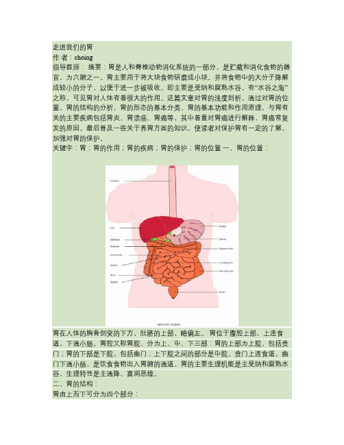 人体结构与功能之胃(精)