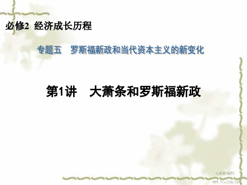 高考历史一轮复习配套必修专题讲大萧条和罗斯福新政精品PPT课件