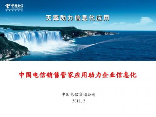 销售管家面向客户解决方案(湖南)