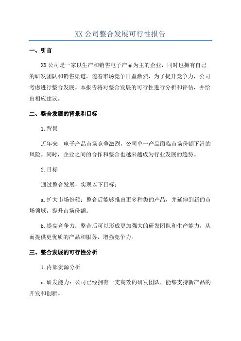 XX公司整合发展可行性报告