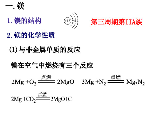 镁及其化合物概述.ppt