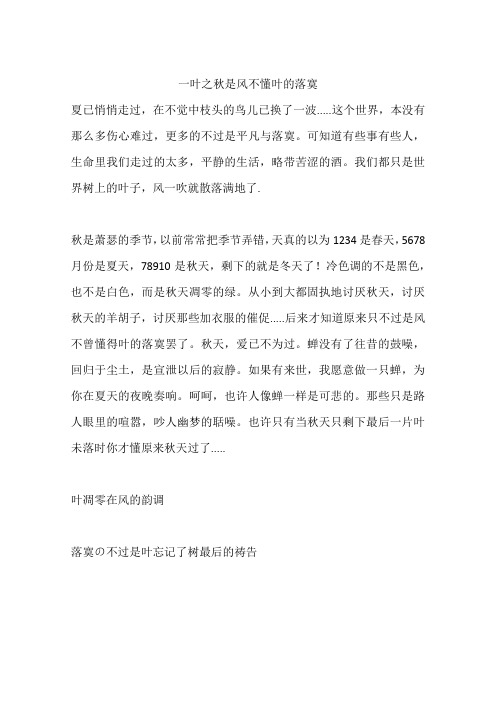 一叶之秋是风不懂叶的落寞