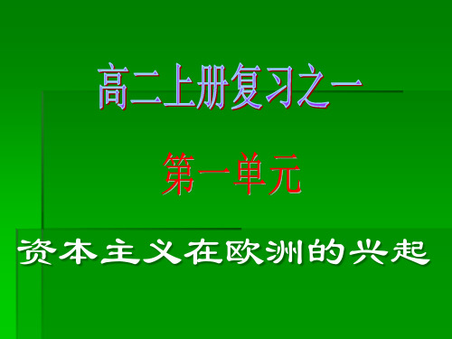 资本主义在欧洲的兴起概述