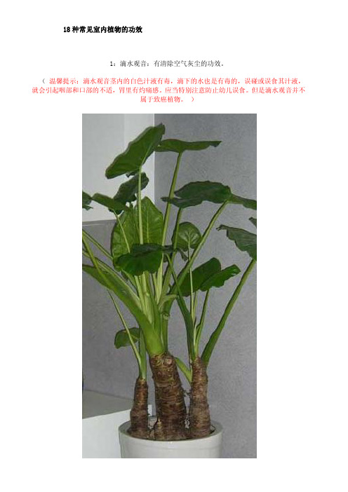 常见室内植物功效