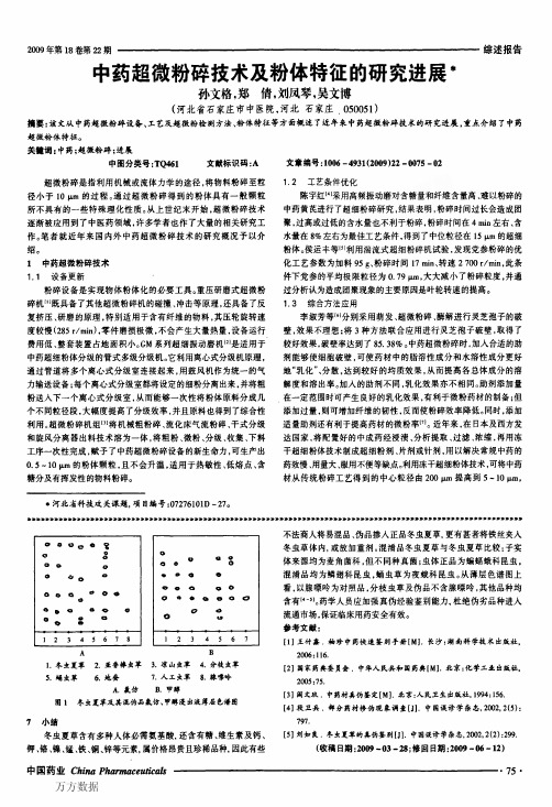 中药超微粉碎技术及粉体特征的研究进展