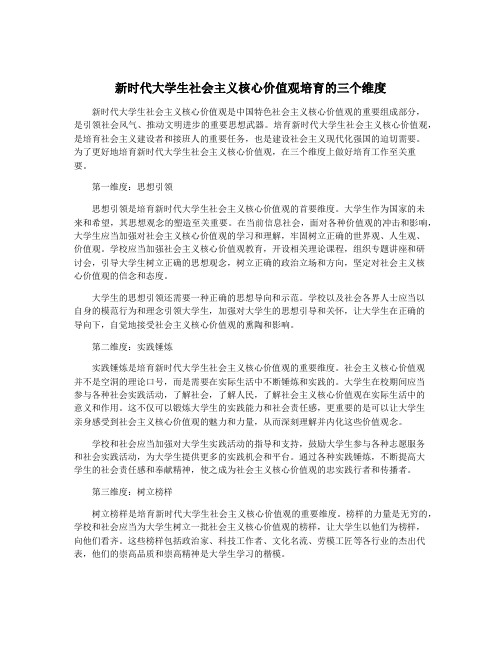 新时代大学生社会主义核心价值观培育的三个维度