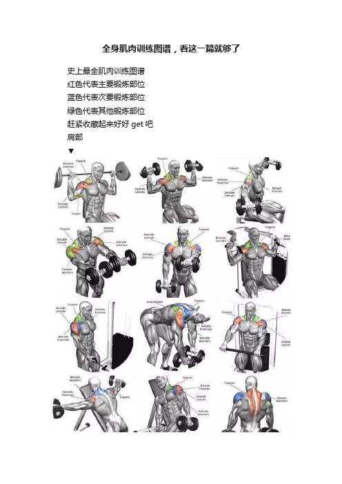 全身肌肉训练图谱，看这一篇就够了