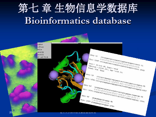 生物信息学数据库——文检论文检索课件PPT