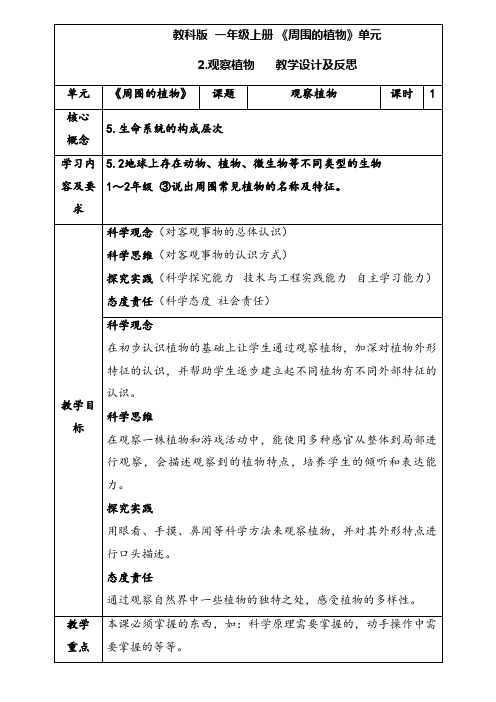 教科版科学一年级上册1.2《观察植物》教案