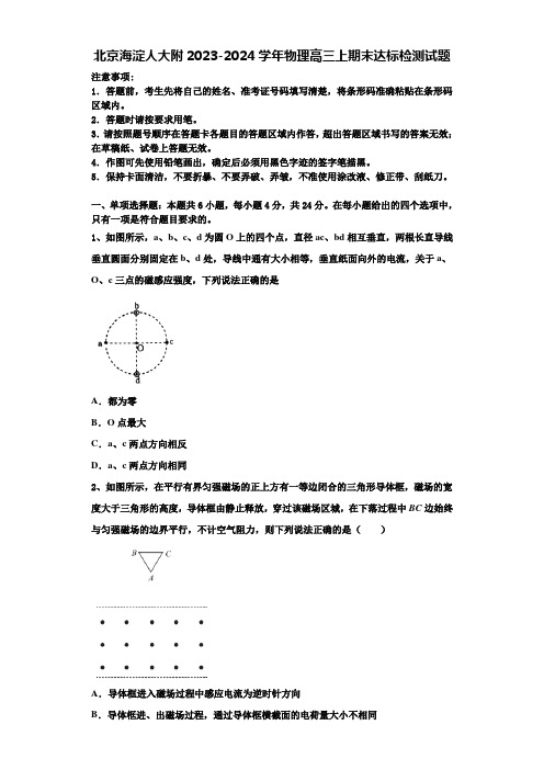 北京海淀人大附2023-2024学年物理高三上期末达标检测试题含解析