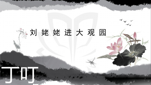 刘姥姥1 -完整版PPT课件