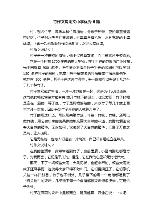 竹作文说明文中学优秀6篇