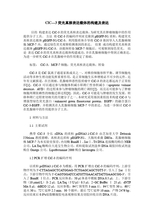 ClC—3荧光真核表达载体的构建及表达