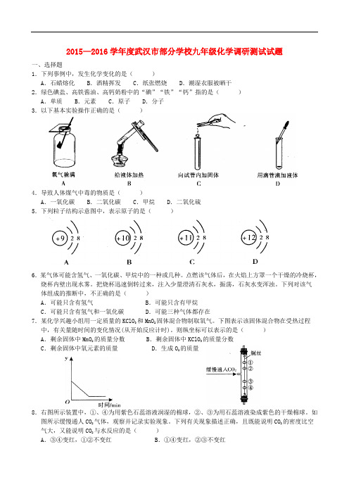 湖北省武汉市部分学校九年级化学元月调研测试试题 新人教版