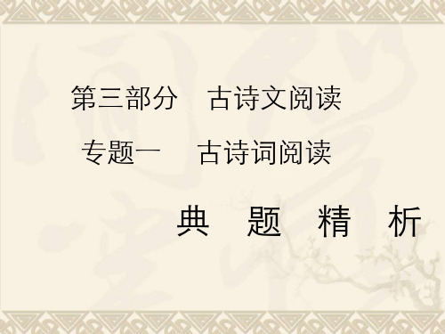 中考语文第三部分古诗文阅读专题一古诗词阅读习题精品课件