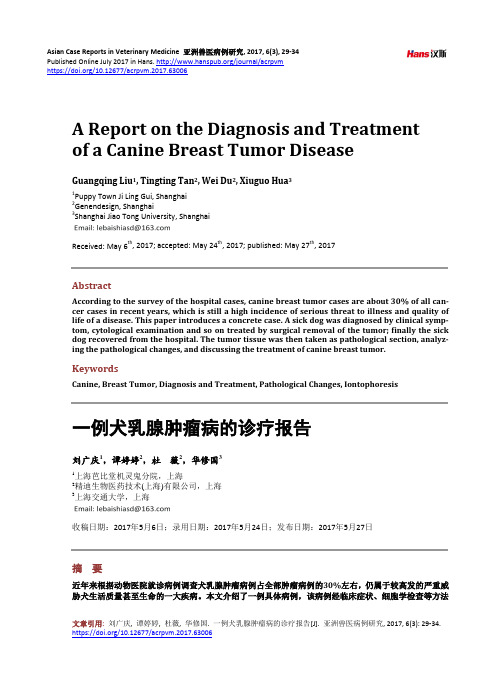 一例犬乳腺肿瘤病的诊疗报告