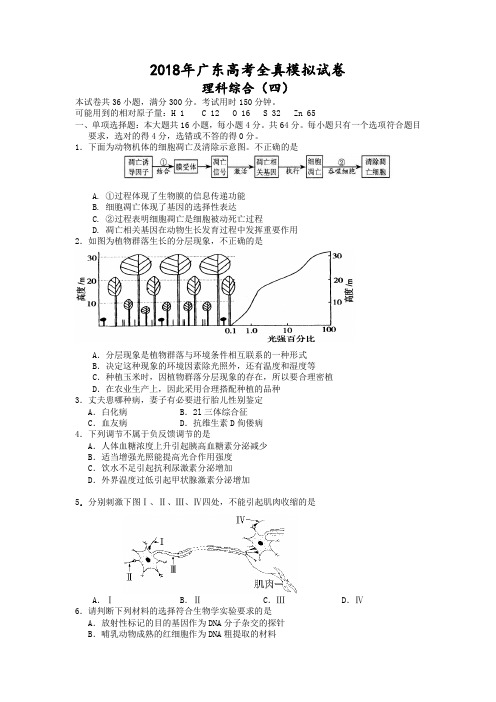 广东省2018届高三全真高考模拟试卷(四)(理综)  精品