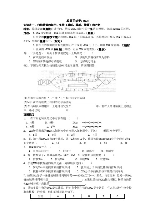 人教版生物必修二基因的表达的练习