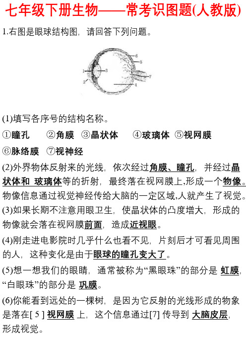 2019年人教版七年级下册生物识图总结.pdf