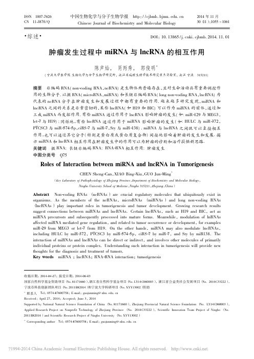 肿瘤发生过程中miRNA与lncRNA的相互作用