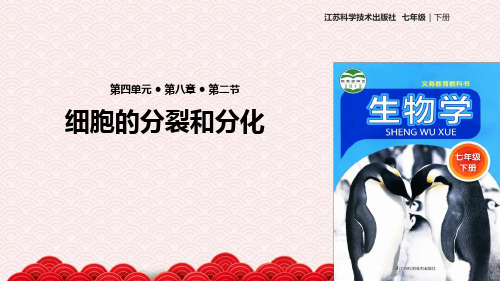 七年级下册生物课件 482细胞的分裂和分化课件2苏科版