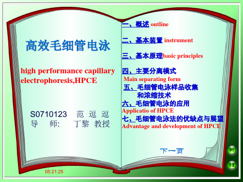 高校毛细管电泳资料