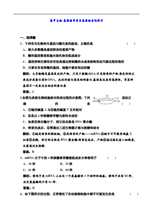 高中生物-基因的本质与基因的表达练习